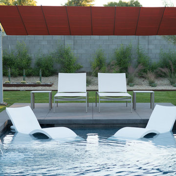 Contemporary Resort Pool Spa - Phoenix - Arcadia