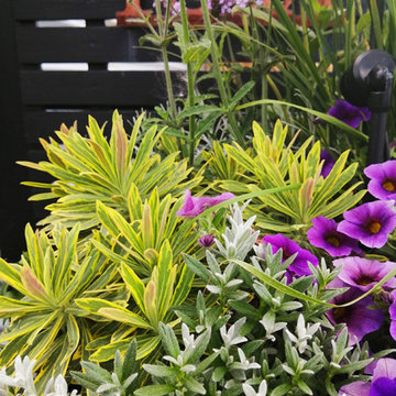 ROOFTOP GARDEN