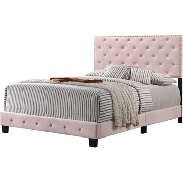 Glory Furniture Suffolk Velvet Upholstered Queen Bed in Pink