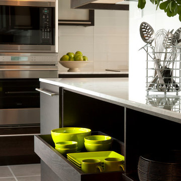 Greater Chicago Area Kitchen