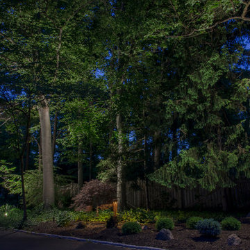 Woodland home