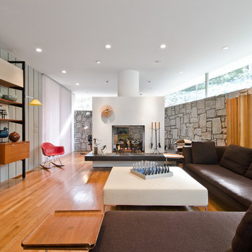 Midcentury Living Room