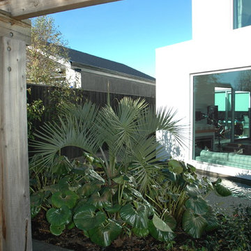 Fendalton Residence
