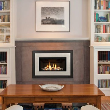 Contemporary Fireplace Inserts