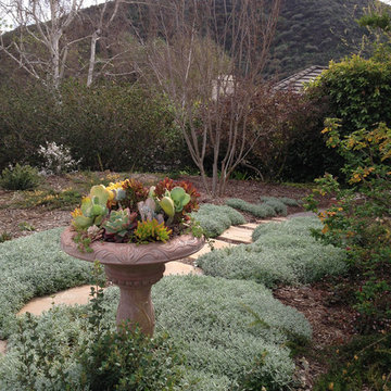 SUCCULENT FOUNTAIN