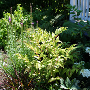 Adair Village Pollinator Garden