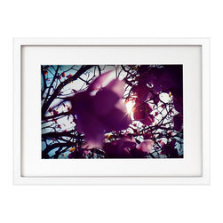 James Houston Design - Nature (print only) - Fine Art Prints