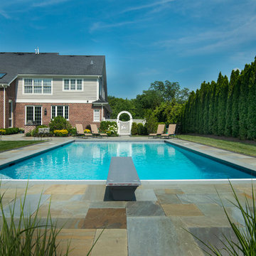 Burr Ridge, IL Swimming Pool With Sunshelf, Diving Board