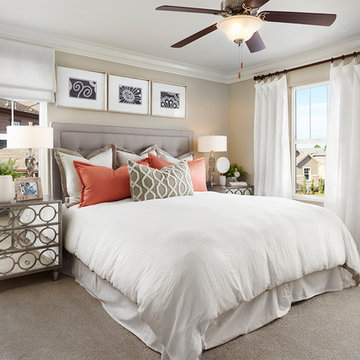 Coral model home in Colorado