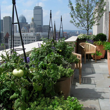 Boston, MA Penthouse Rooftop Garden