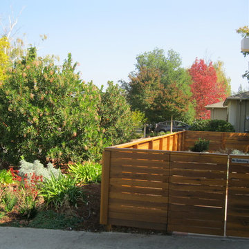 Color with Contemporary Fence