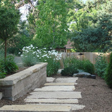 Landscape Ideas