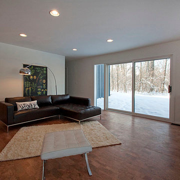 Ann Arbor Mid-Century Modern Renovation