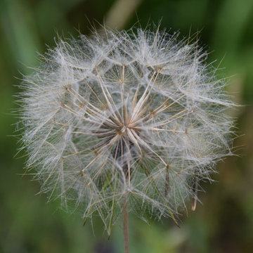 Die Schönheit der Natur
