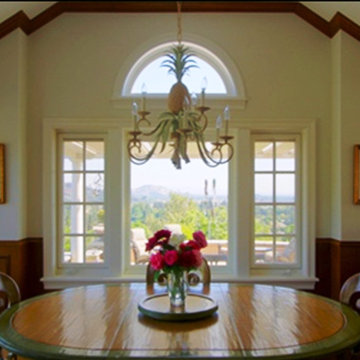 Vinyl Windows