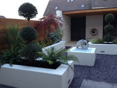 Small garden | Houzz UK