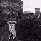 თოლია სახელად მაიკო's photo