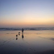 Jamie McIntosh's photo