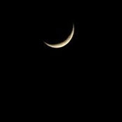 Hadeer Aly's photo