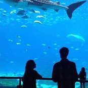 Julie Rosseter Sweeney's photo