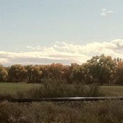 Margaret Chlarson's photo