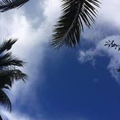 Kathi Wroobel's photo