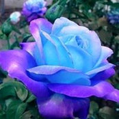Brenda Schwanke Hathaway's photo
