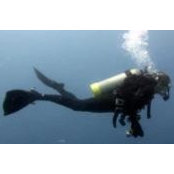 Cory Walter's photo