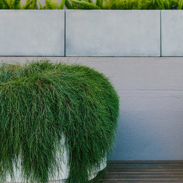 Chatswood Rooftop Garden