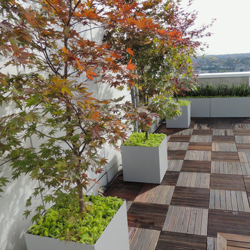 Creekside Penthouse