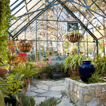 Green House For Plants