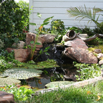 Koi Ponds and Water Gardens