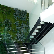 Corporate Stairs