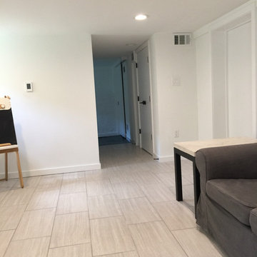 Del Ray Basement