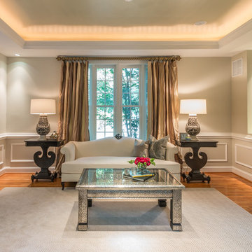 Palatial Space: Living Room (McLean, VA)