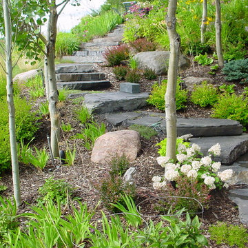 The Raspberry Patch