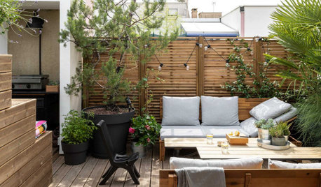 Quelles plantes pour des pots d'extérieur XXL ?