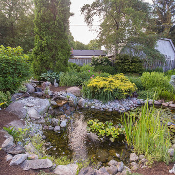 Malcom Backyard & Patio Redesign