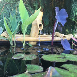 Water Gardening - Outdoor Fountain And Pond Accessories