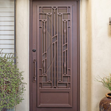 Canyon Exclusive Contemporary Iron Entry Door