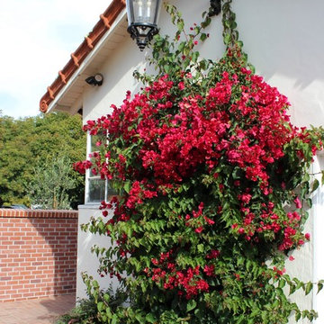 A Working Winery in Soquel