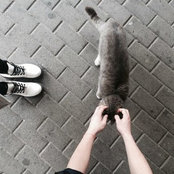 Foto von Катерина Фадеева