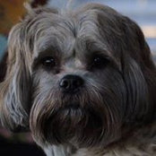 Lynn Ellen Field's photo