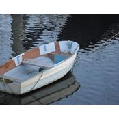 Rosa RosaNp's photo