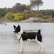 Liliana Mancazzo's photo