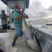 Julien Costa's photo