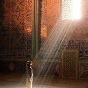 Foto von Mohamed Shawkat