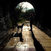 Stacey Hale's photo