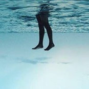 Christopher Stout's photo