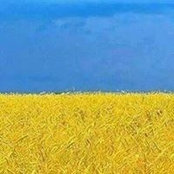 Liviu Popa's photo